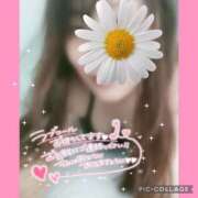 ヒメ日記 2026/01/15 14:21 投稿 黒木　しほ NADIA神戸店