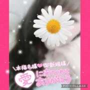 ヒメ日記 2026/01/17 13:51 投稿 黒木　しほ NADIA神戸店