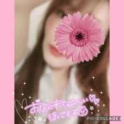 ヒメ日記 2026/01/27 16:01 投稿 黒木　しほ NADIA神戸店