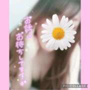 ヒメ日記 2026/02/01 13:31 投稿 黒木　しほ NADIA神戸店