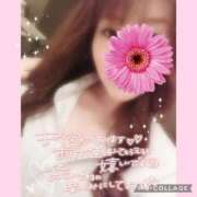 ヒメ日記 2026/02/11 15:21 投稿 黒木　しほ NADIA神戸店