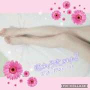 ヒメ日記 2026/02/12 21:45 投稿 黒木　しほ NADIA神戸店