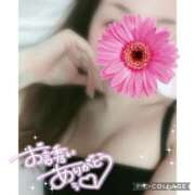 ヒメ日記 2026/02/23 17:21 投稿 黒木　しほ NADIA神戸店