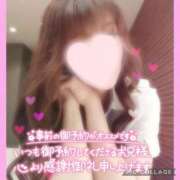 ヒメ日記 2026/03/11 20:31 投稿 黒木　しほ NADIA神戸店