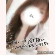 ヒメ日記 2026/03/21 13:35 投稿 黒木　しほ NADIA神戸店