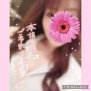 ヒメ日記 2026/03/30 13:17 投稿 黒木　しほ NADIA神戸店