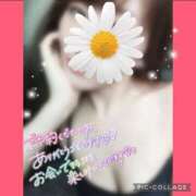 ヒメ日記 2026/03/30 15:01 投稿 黒木　しほ NADIA神戸店