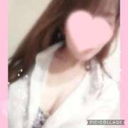 ヒメ日記 2026/04/12 16:51 投稿 黒木　しほ NADIA神戸店