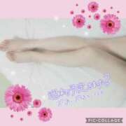 ヒメ日記 2026/08/12 20:01 投稿 黒木　しほ NADIA神戸店