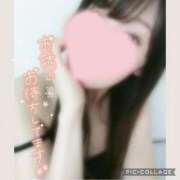黒木　しほ 🌺𓈒𓏸います NADIA神戸店