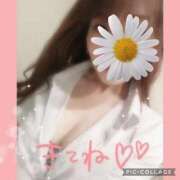 黒木　しほ 🌺𓈒𓏸います NADIA神戸店