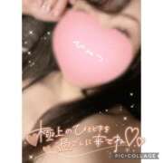 ヒメ日記 2026/09/09 13:36 投稿 黒木　しほ NADIA神戸店