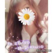ヒメ日記 2026/09/30 12:41 投稿 黒木　しほ NADIA神戸店