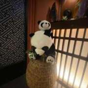 ヒメ日記 2025/11/05 14:38 投稿 ともか 白いぽっちゃりさん仙台店