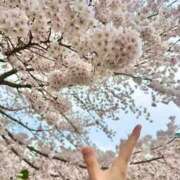 ヒメ日記 2026/04/06 19:08 投稿 ともか 白いぽっちゃりさん仙台店