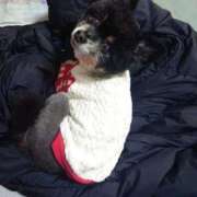 ヒメ日記 2026/01/12 14:55 投稿 あゆ 池袋夢幻