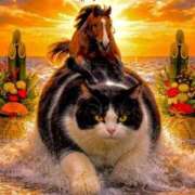 ヒメ日記 2026/01/01 00:35 投稿 樹里 池袋夢幻