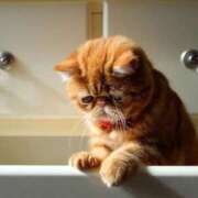 舞（まい） 午前中ご予約くださっていたナカヨシさんへ( ; ›д‹ )💦 池袋夢幻