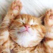 舞（まい） オォォー(///°д°///)ーーー‼️ 池袋夢幻