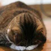 舞（まい） 10/19(日)​(o*_ _)o⁾⁾💦 池袋夢幻