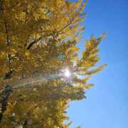 亜美 日本にいます 池袋夢幻