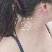 ヒメ日記 2026/03/29 08:35 投稿 亜美 池袋夢幻