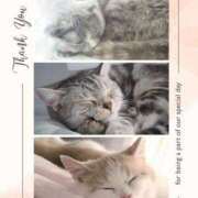 ヒメ日記 2025/08/01 21:05 投稿 果林 池袋夢幻