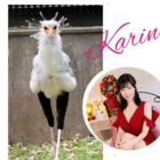 ヒメ日記 2025/12/14 00:45 投稿 果林 池袋夢幻