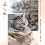 ヒメ日記 2026/01/12 21:05 投稿 果林 池袋夢幻