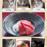 ヒメ日記 2026/02/22 21:25 投稿 果林 池袋夢幻