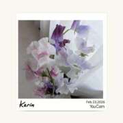 ヒメ日記 2026/02/23 17:35 投稿 果林 池袋夢幻