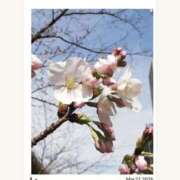 ヒメ日記 2026/03/21 21:45 投稿 果林 池袋夢幻