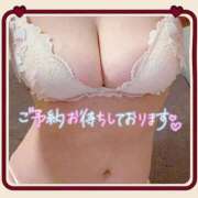 ヒメ日記 2026/02/12 10:45 投稿 れいな 池袋夢幻