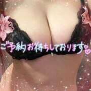 ヒメ日記 2026/02/20 12:35 投稿 れいな 池袋夢幻