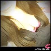 ヒメ日記 2025/12/20 07:55 投稿 明日香 池袋夢幻