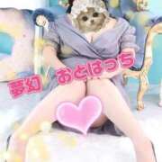 ヒメ日記 2025/11/23 15:35 投稿 乙葉（おとは） 池袋夢幻