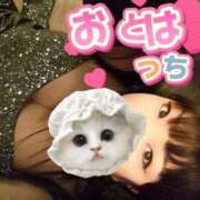 ヒメ日記 2025/12/04 11:05 投稿 乙葉（おとは） 池袋夢幻