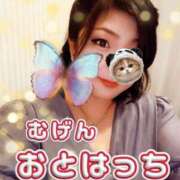 ヒメ日記 2026/01/11 09:15 投稿 乙葉（おとは） 池袋夢幻