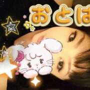 ヒメ日記 2026/01/18 08:23 投稿 乙葉（おとは） 池袋夢幻