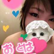 ヒメ日記 2026/02/11 08:35 投稿 乙葉（おとは） 池袋夢幻