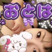 乙葉（おとは） 昨日のありがとうございます☆彡 池袋夢幻