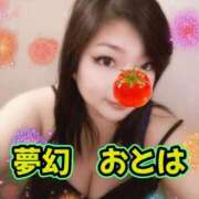 ヒメ日記 2026/08/30 08:30 投稿 乙葉（おとは） 池袋夢幻