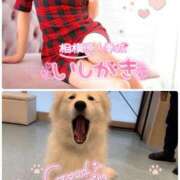 ヒメ日記 2024/12/27 09:18 投稿 石垣(いしがき) 相模原人妻城