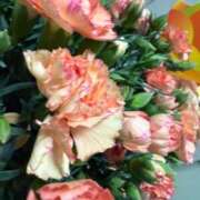 ヒメ日記 2025/05/10 23:48 投稿 石垣(いしがき) 相模原人妻城