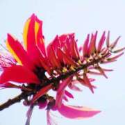 ヒメ日記 2025/06/09 09:18 投稿 石垣(いしがき) 相模原人妻城