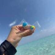 ヒメ日記 2025/11/18 10:57 投稿 石垣(いしがき) 相模原人妻城