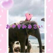 ヒメ日記 2026/04/05 22:03 投稿 石垣(いしがき) 相模原人妻城