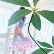 ヒメ日記 2026/06/05 08:03 投稿 石垣(いしがき) 相模原人妻城