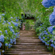 つき ※無題 奥鉄オクテツ大阪