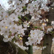 ヒメ日記 2026/04/05 10:50 投稿 つき 奥鉄オクテツ大阪